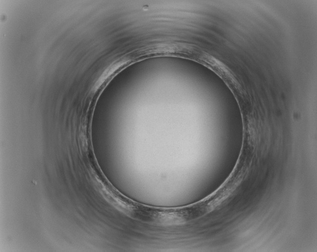 X0000069390794200605192212