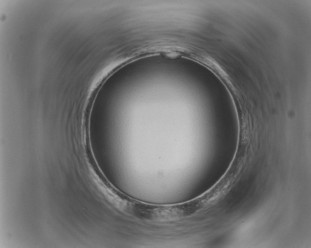 X0000069390795200605192212