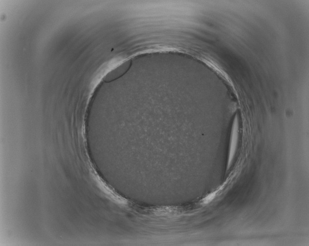 X0000069390797200605192212