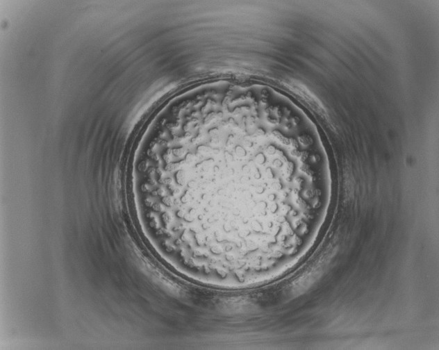 X0000069390798200605192212