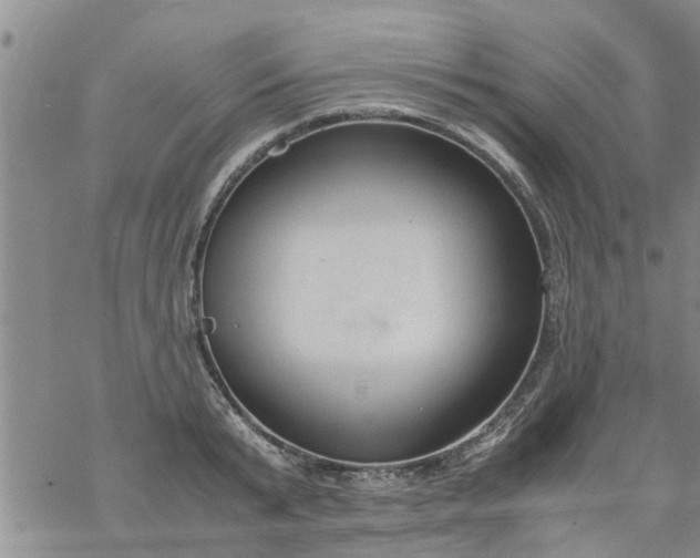 X0000069390799200605192212