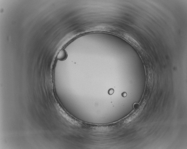 X0000069390800200605192212