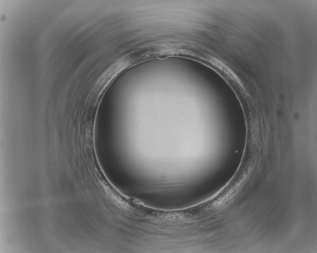 X0000069390801200605192212