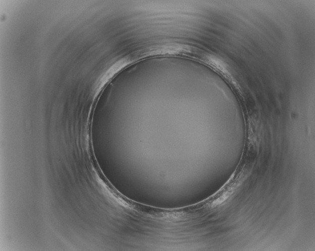 X0000069390802200605192212