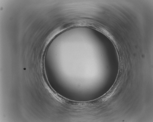 X0000069390803200605192212