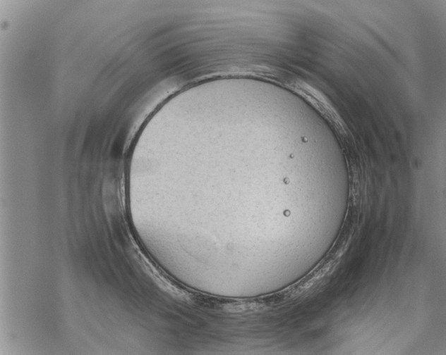 X0000069390804200605192212