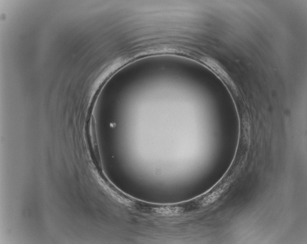 X0000069390805200605192212