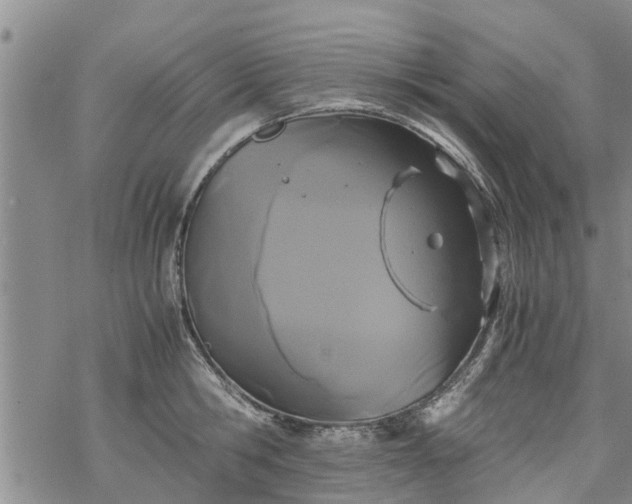 X0000069390806200605192212