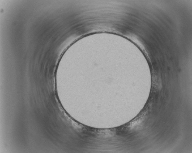 X0000069390807200605192212