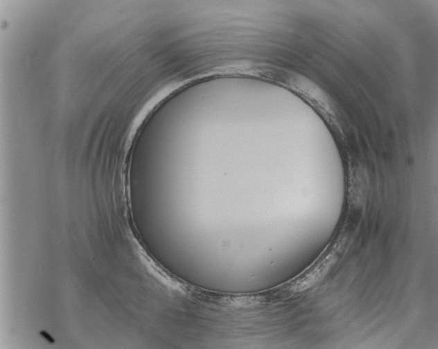 X0000069390808200605192212