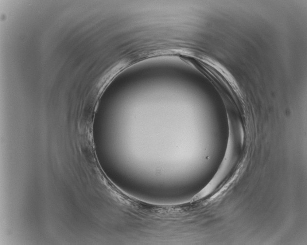 X0000069390809200605192212