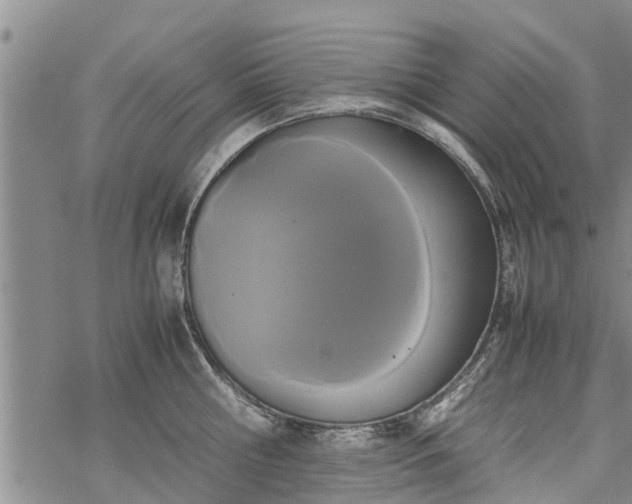 X0000069390810200605192212