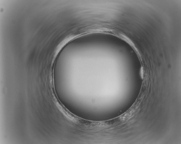 X0000069390811200605192212