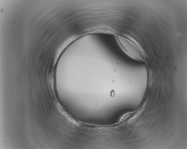 X0000069390812200605192212