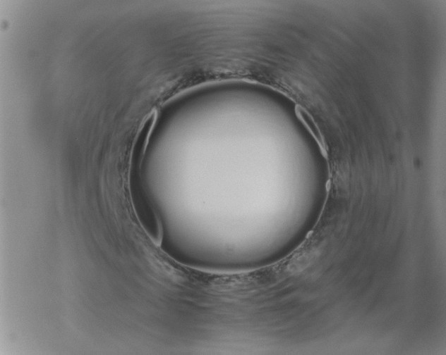 X0000069390817200605192211