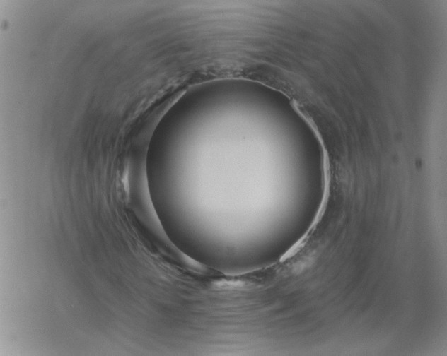 X0000069390818200605192211