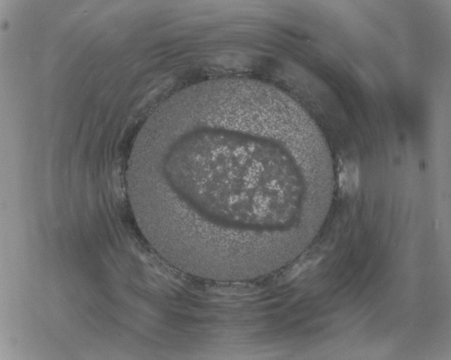 X0000069390819200605192211