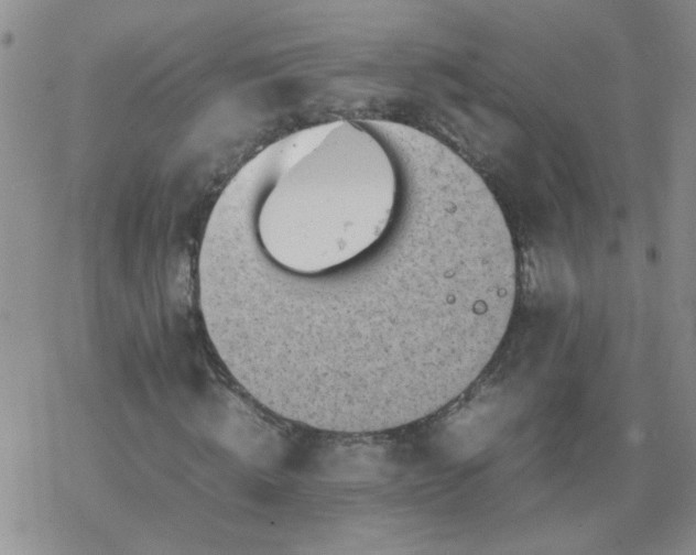 X0000069390820200605192211