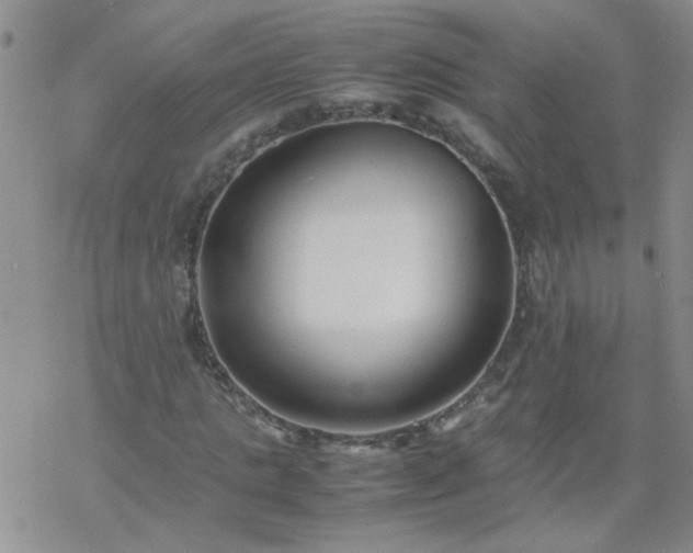 X0000069390821200605192211