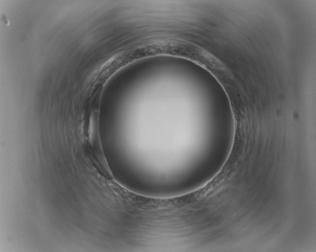 X0000069390822200605192211