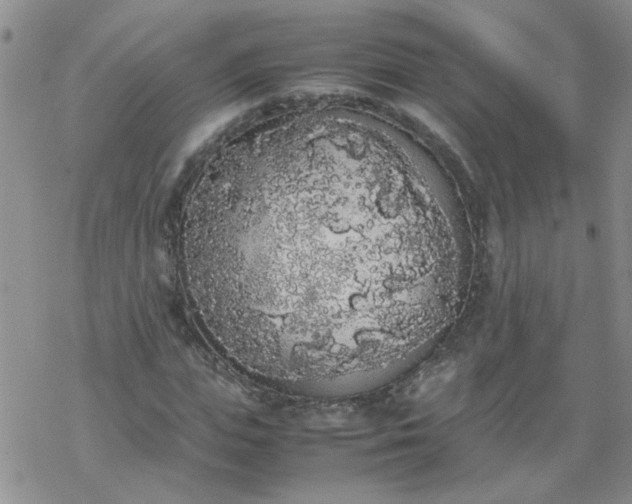 X0000069390823200605192211