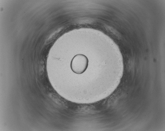 X0000069390824200605192211