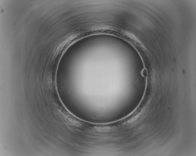 X0000069390825200605192211