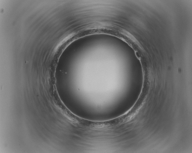 X0000069390826200605192211