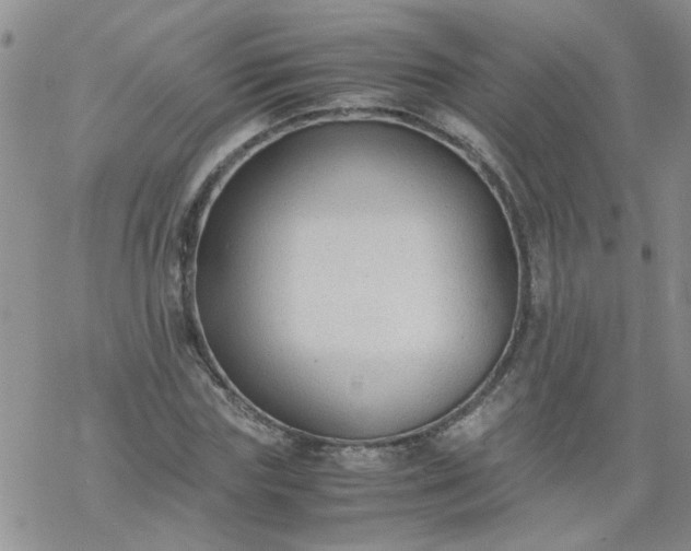 X0000069390827200605192211