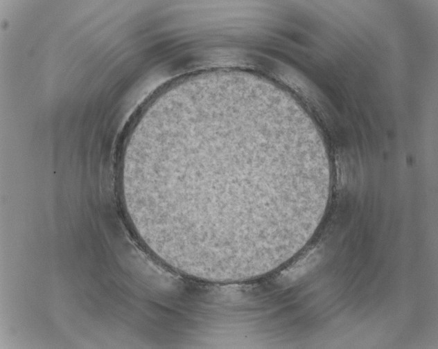 X0000069390828200605192211