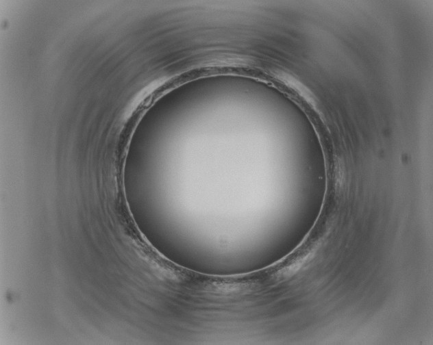 X0000069390829200605192212