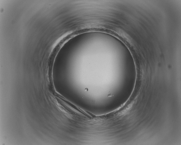 X0000069390830200605192212