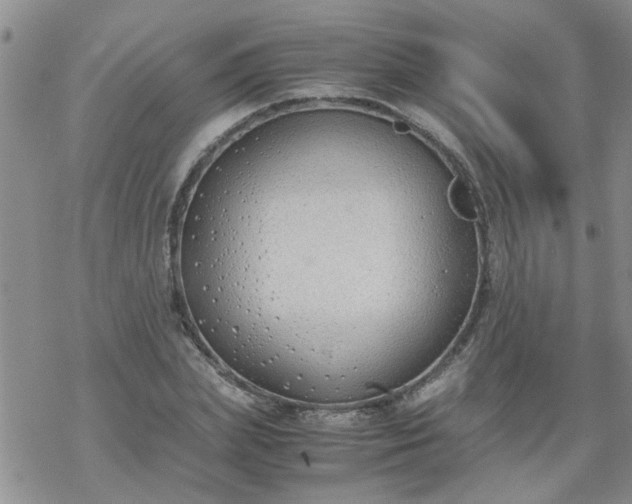 X0000069390831200605192212