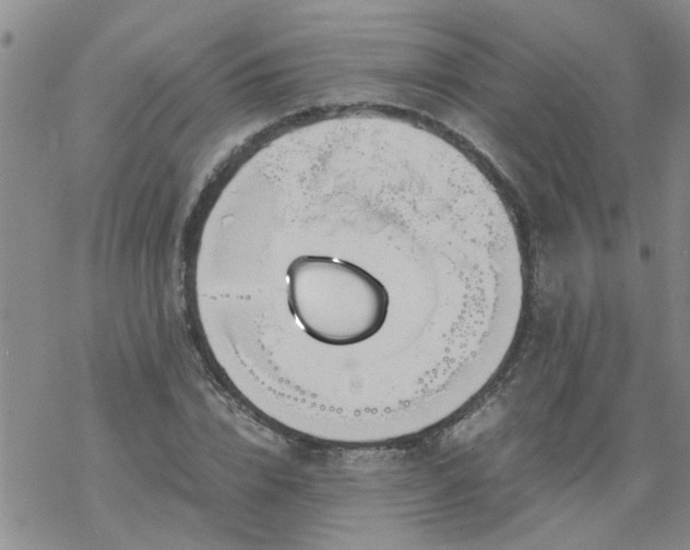 X0000069390832200605192212