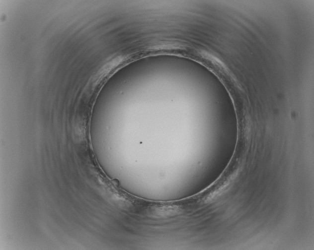 X0000069390833200605192212