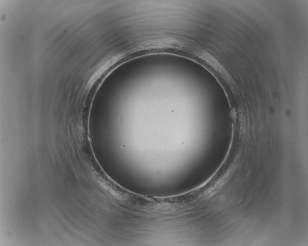 X0000069390834200605192212