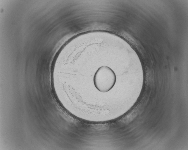 X0000069390836200605192212