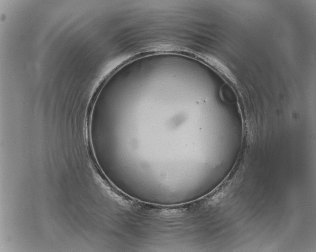 X0000069390839200605192212