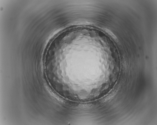 X0000069390840200605192212