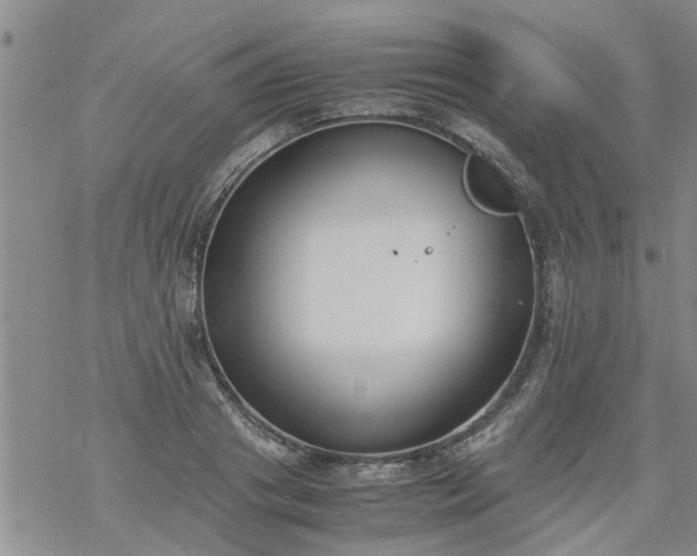 X0000069390841200605192212