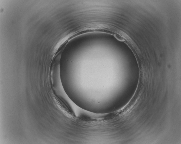 X0000069390842200605192212