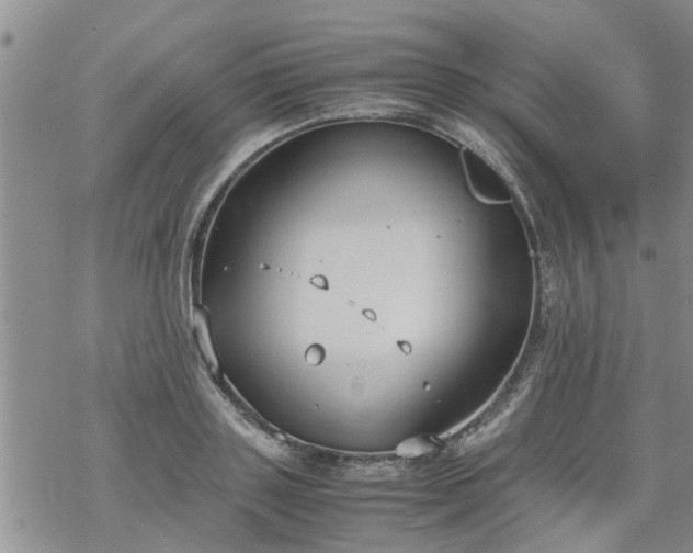 X0000069390843200605192212