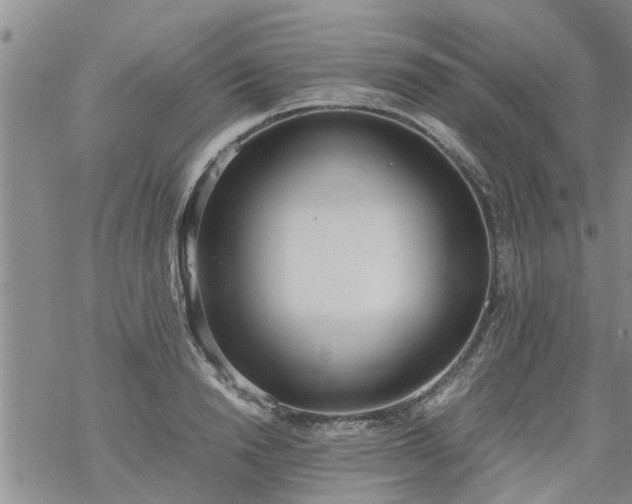 X0000069390846200605192212