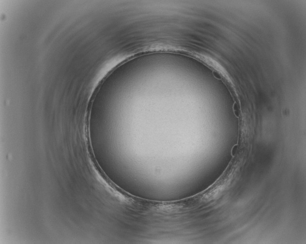 X0000069390847200605192212