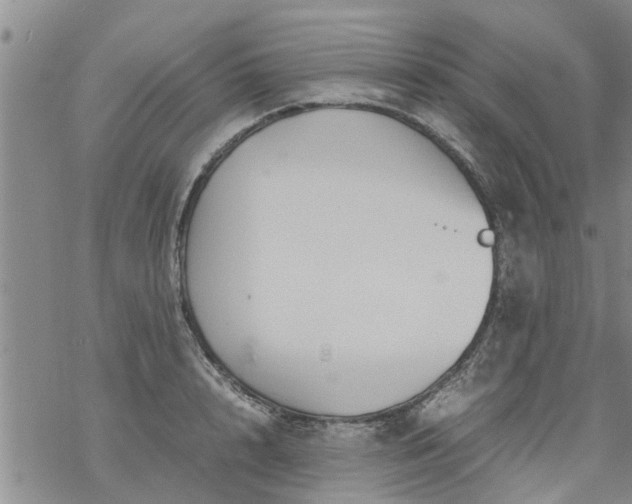 X0000069390848200605192212