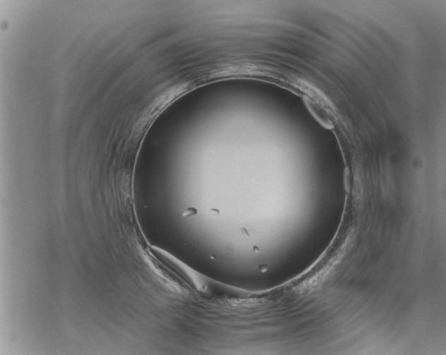 X0000069390849200605192212