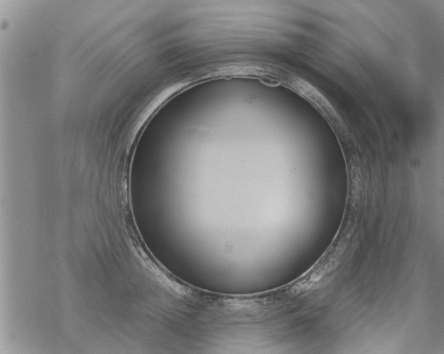 X0000069390852200605192212