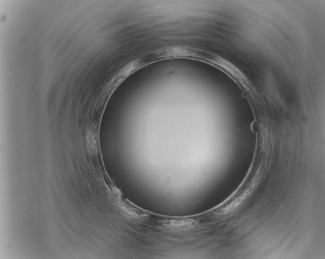 X0000069390857200605192212