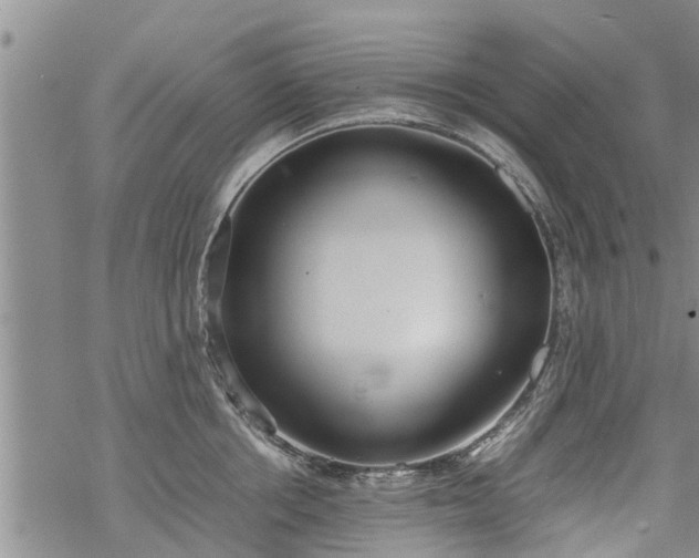 X0000069390858200605192212