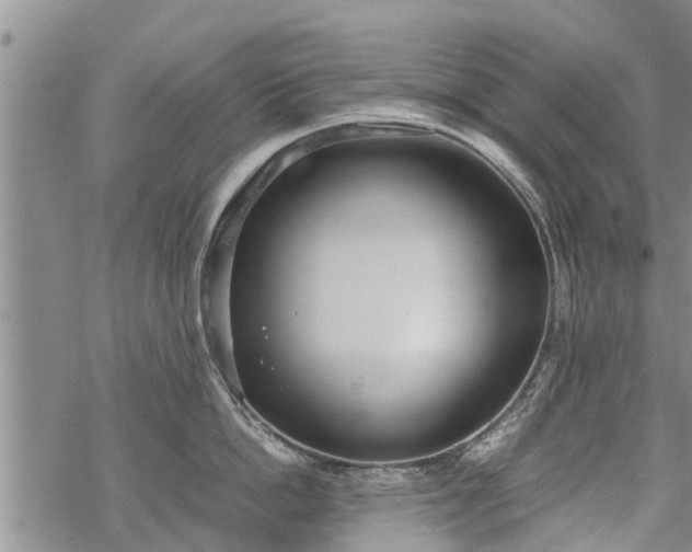 X0000069390862200605192212